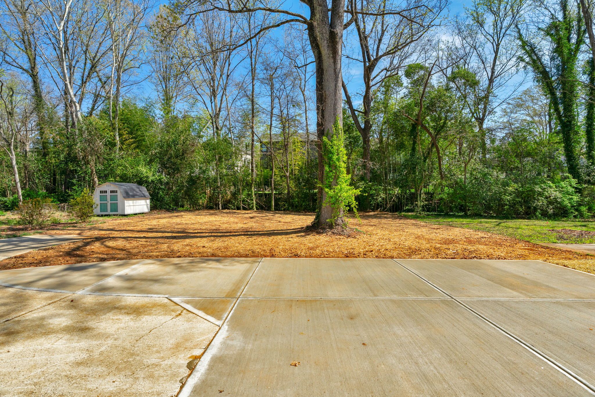 Rear yard and patio with the wooded tree line beyond — Wyanoke by Stillman Properties Charlotte NC
